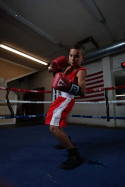 TITLE Boxing USA Boxing Competition Gloves - Elastic 27 TITLE Boxing USA Boxing Competition Gloves - Elastic -Sports Boxing ACGESRD 3