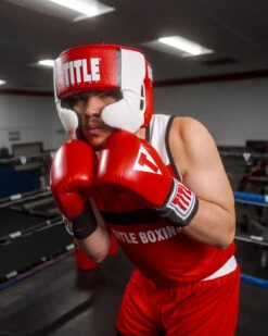 TITLE Boxing Aerovent Elite USA Boxing Competition Headgear – With Cheeks -Sports Boxing ACHEXRD 1