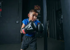 TITLE Classic Boxing Gloves -Sports Boxing CABGBKRD 3