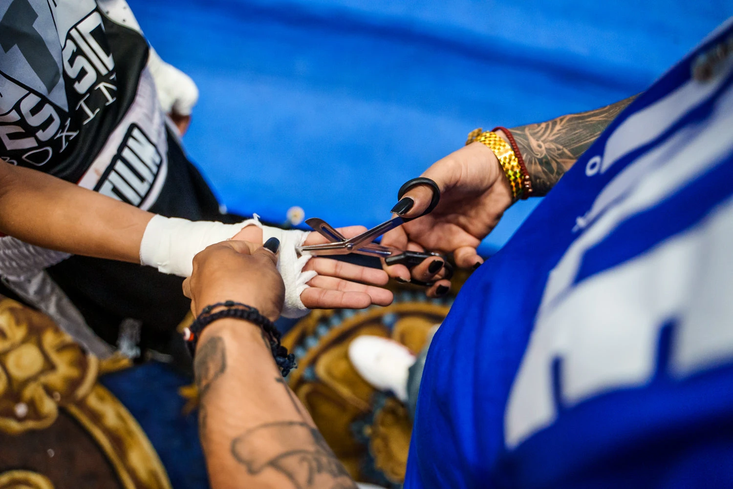 TITLE Boxing Titanium Corner Scissors 2 TITLE Boxing Titanium Corner Scissors - Image 2