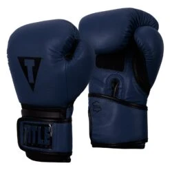 TITLE Boxing Dauntless Training Gloves -Sports Boxing DNTTG BL BK 2