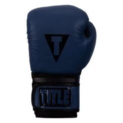 TITLE Boxing Dauntless Training Gloves -Sports Boxing DNTTG BL BK 3