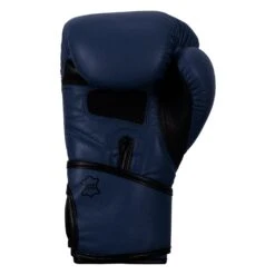 TITLE Boxing Dauntless Training Gloves -Sports Boxing DNTTG BL BK 4