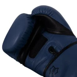 TITLE Boxing Dauntless Training Gloves -Sports Boxing DNTTG BL BK 5