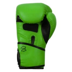TITLE Boxing Dauntless Training Gloves -Sports Boxing DNTTG GN BK 4
