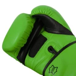 TITLE Boxing Dauntless Training Gloves -Sports Boxing DNTTG GN BK 5