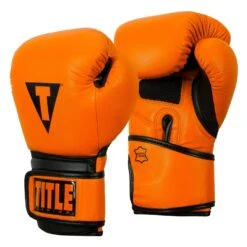 TITLE Boxing Dauntless Training Gloves -Sports Boxing DNTTG OR BK 2