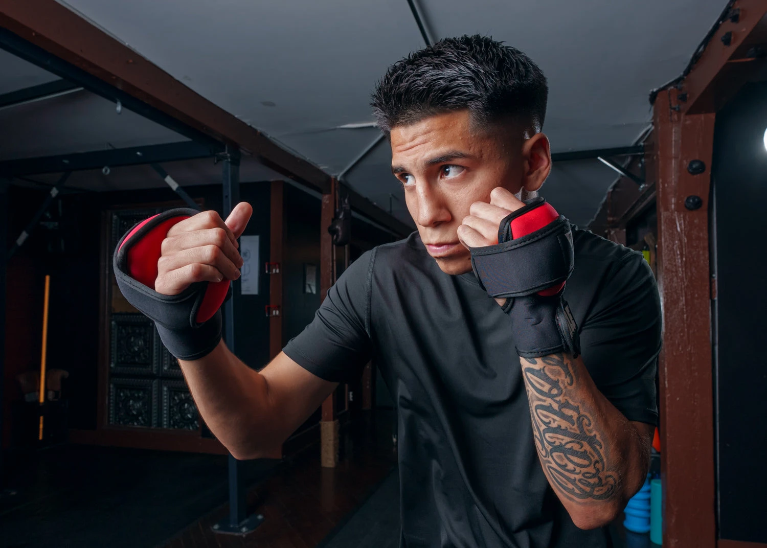 TITLE Boxing Deluxe Weighted Gloves 2.0 2 TITLE Boxing Deluxe Weighted Gloves 2.0 - Image 2