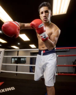 Fighting Professional Boxing Trunks 25 Fighting Professional Boxing Trunks -Sports Boxing FPSTWHBL