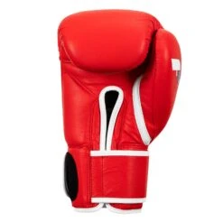 Fighting Fury Professional Training Gloves -Sports Boxing FSFTGE RD 04