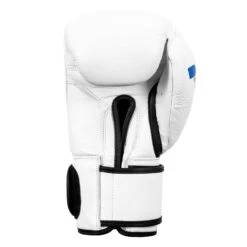 Fighting Fury Professional Training Gloves -Sports Boxing FSFTGE WH 04