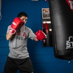 Fighting Fury Professional Training Gloves -Sports Boxing FSFTGERD