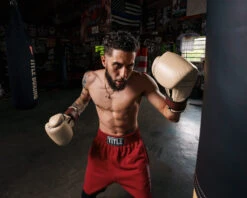 TITLE Boxing Honorary Bag Gloves -Sports Boxing GOSBGTNMR 1