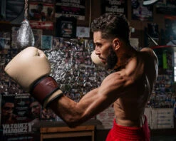 TITLE Boxing Honorary Bag Gloves -Sports Boxing GOSBGTNMR 3