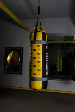 TITLE Boxing Greatest Heavy Bag Ever -Sports Boxing HBTGE110