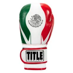 TITLE Boxing Infused Foam El Combate Mexico Training Gloves -Sports Boxing HIFXTG 3