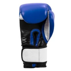TITLE Boxing Premium Leather Performance Training Gloves 25 TITLE Boxing Premium Leather Performance Training Gloves -Sports Boxing LPTG BL WH BK 004