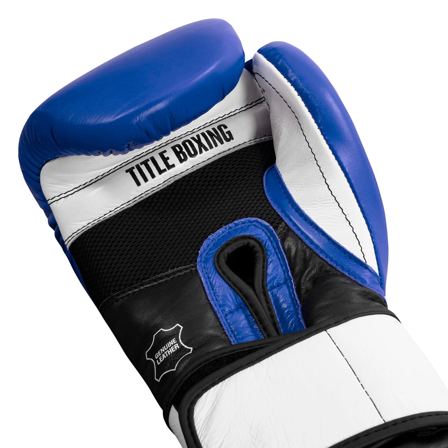 TITLE Boxing Premium Leather Performance Training Gloves 13 TITLE Boxing Premium Leather Performance Training Gloves - Image 13