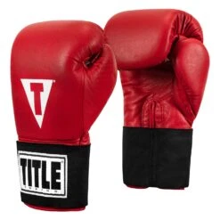 TITLE Boxing Masters USA Boxing Competition Gloves - Elastic 23 TITLE Boxing Masters USA Boxing Competition Gloves - Elastic -Sports Boxing MACGES RD 02