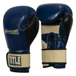 TITLE Boxing Rock Steady Leather Training Gloves -Sports Boxing RSBVLTTG BL TN 2