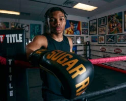 TITLE Boxing Sugar Ray Leonard Leather Bag Gloves -Sports Boxing SRLBG 2 1