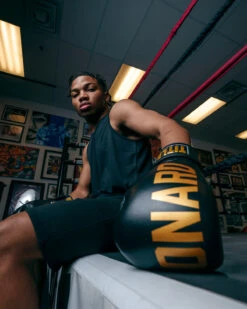 TITLE Boxing Sugar Ray Leonard Leather Bag Gloves -Sports Boxing SRLBG 2 2