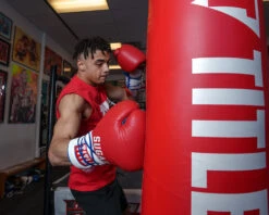 TITLE Boxing Sugar Ray Leonard Signature Leather Sparring Gloves -Sports Boxing SRLSLSG 4 3