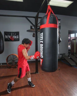 TITLE Boxing Titanic Flex-Strike Heavy Bag 21 TITLE Boxing Titanic Flex-Strike Heavy Bag -Sports Boxing STRK3