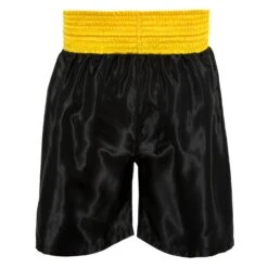 TITLE Boxing Edge Boxing Trunks 2.0 -Sports Boxing TBTC2 BK GD 3