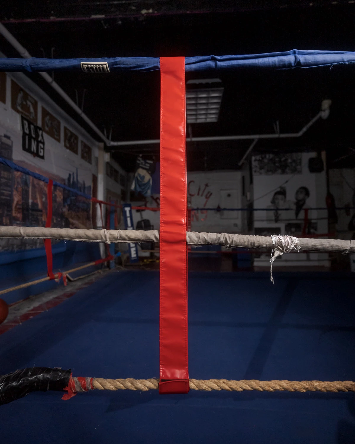 TITLE Boxing Two-Sided Rope Spacers - Blank 5 TITLE Boxing Two-Sided Rope Spacers - Blank - Image 5