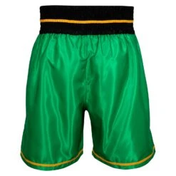 WBC By TITLE Boxing Professional Boxing Trunks -Sports Boxing WBCBT GN BK 3