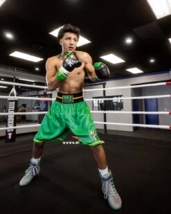 WBC By TITLE Boxing Professional Boxing Trunks -Sports Boxing WBCBTGN