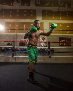 WBC By TITLE Boxing Professional Boxing Trunks -Sports Boxing WBCBTGRBK 2