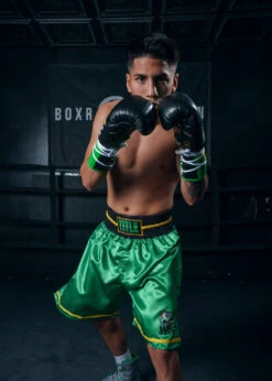 WBC By TITLE Boxing Professional Boxing Trunks -Sports Boxing WBCBTGR 3