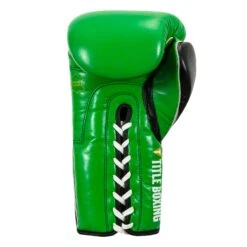 WBC By TITLE Boxing Sparring Gloves -Sports Boxing WBCSG GN BK 04