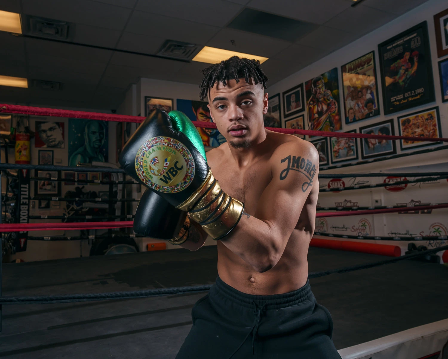 WBC By TITLE Boxing Green Belt Sparring Gloves 7 WBC By TITLE Boxing Green Belt Sparring Gloves - Image 7