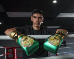 WBC By TITLE Boxing Green Belt Sparring Gloves 33 WBC By TITLE Boxing Green Belt Sparring Gloves -Sports Boxing WGBSGGDGNBK 2