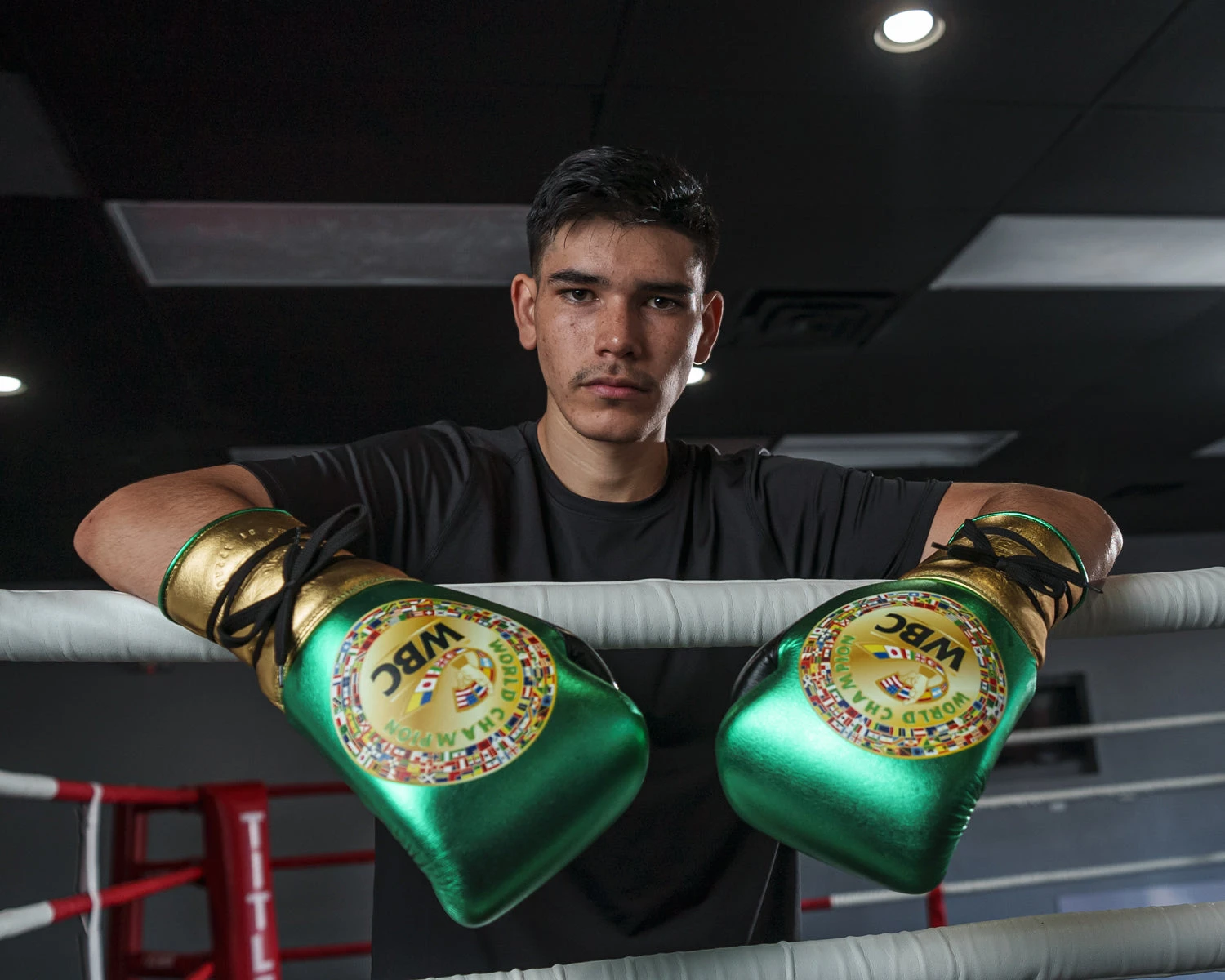 WBC By TITLE Boxing Green Belt Sparring Gloves 17 WBC By TITLE Boxing Green Belt Sparring Gloves - Image 17