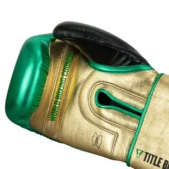 WBC By TITLE Boxing Green Belt Training Gloves 1.0 -Sports Boxing WGBTG GN GD BK 5