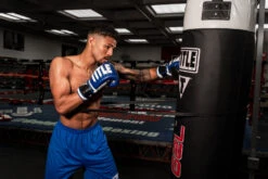 TITLE Boxing Inside Fighting Resistance Trainer -Sports Boxing a7307222 ifrt