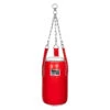 TITLE Boxing Accuracy Heavy Bag
