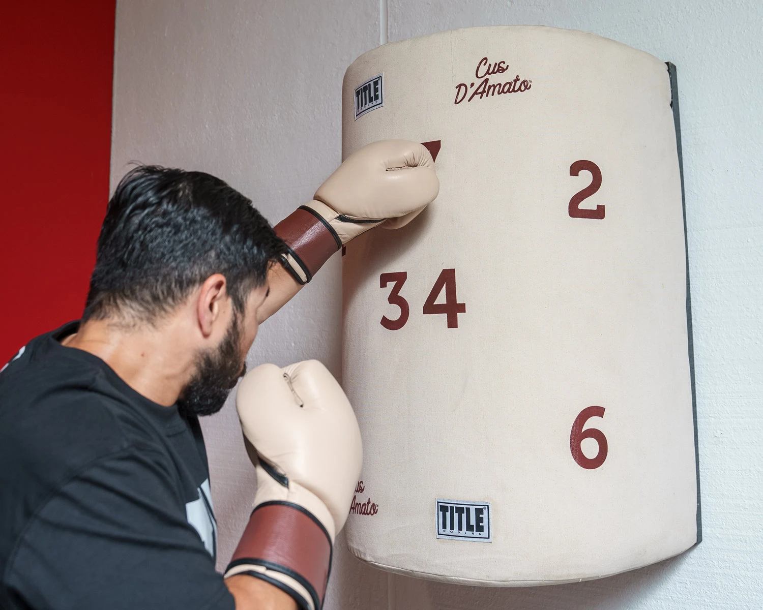 TITLE Boxing Cus D’Amato Willie Heavy Bag 2 TITLE Boxing Cus D’Amato Willie Heavy Bag - Image 2