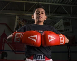 TITLE Classic Super Bag Gloves 2.0 -Sports Boxing csbg2 rd