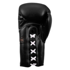TITLE Classic Leather Lace Training Gloves 2.0 -Sports Boxing ctsgl2 bk 04