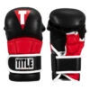 TITLE MMA Full Contact Sparring Gloves
