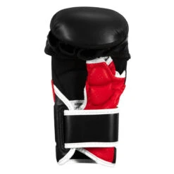 TITLE MMA Full Contact Sparring Gloves -Sports Boxing fcsg bk rd 04