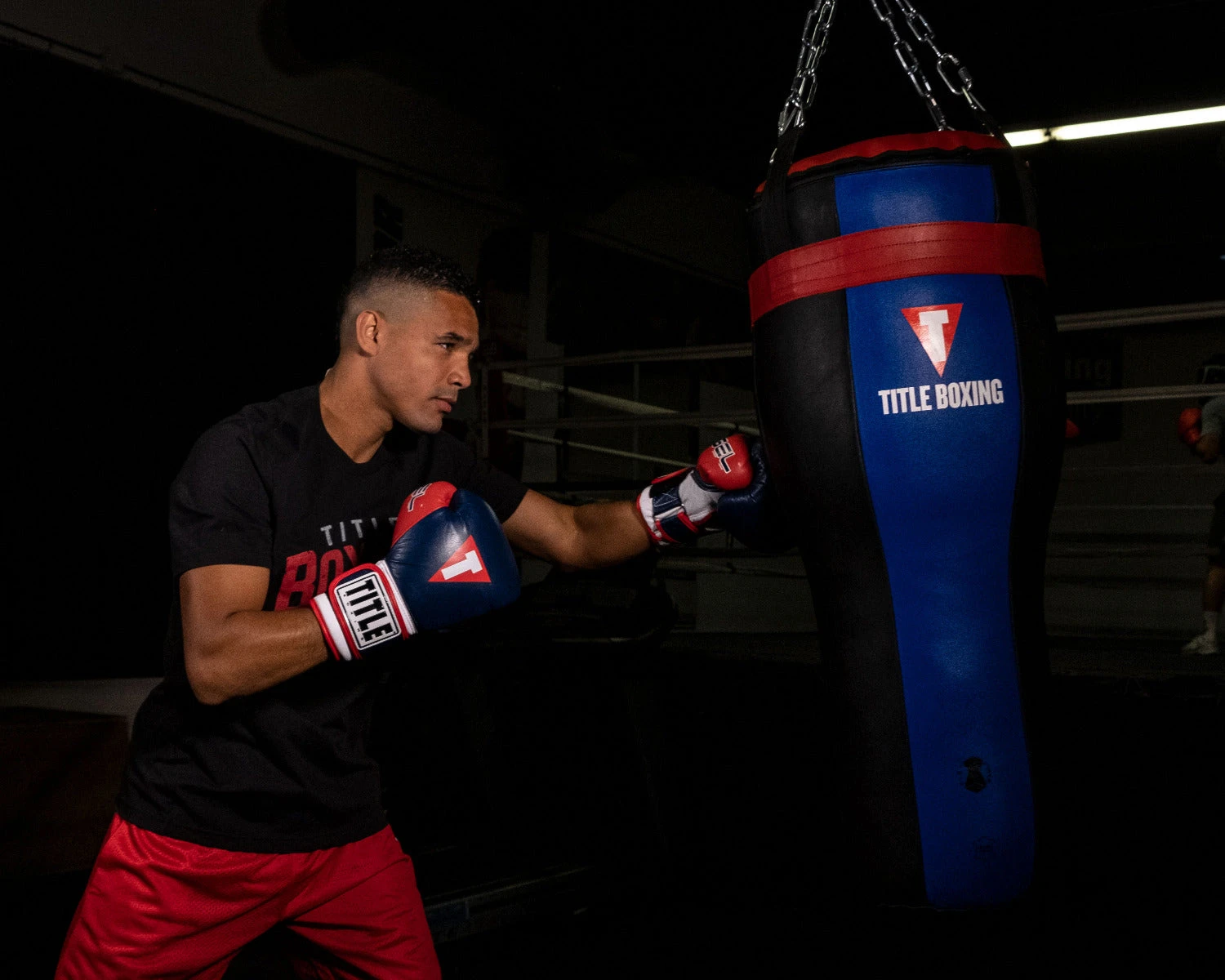 TITLE Boxing Fiber Flex Angle Heavy Bag 2 TITLE Boxing Fiber Flex Angle Heavy Bag - Image 2