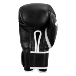 Fighting Fury Professional Training Gloves -Sports Boxing fsftge bk 04
