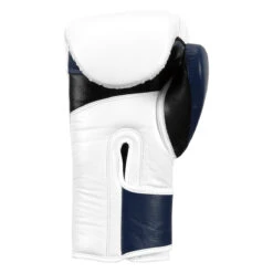 Fighting Force Training Gloves -Sports Boxing ftgftg wh bl bk 4 1