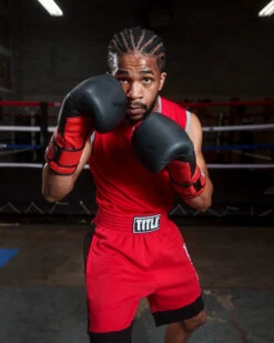 TITLE Boxing Guts And Glory Bag Gloves 19 TITLE Boxing Guts And Glory Bag Gloves -Sports Boxing ggbg 1 2 2